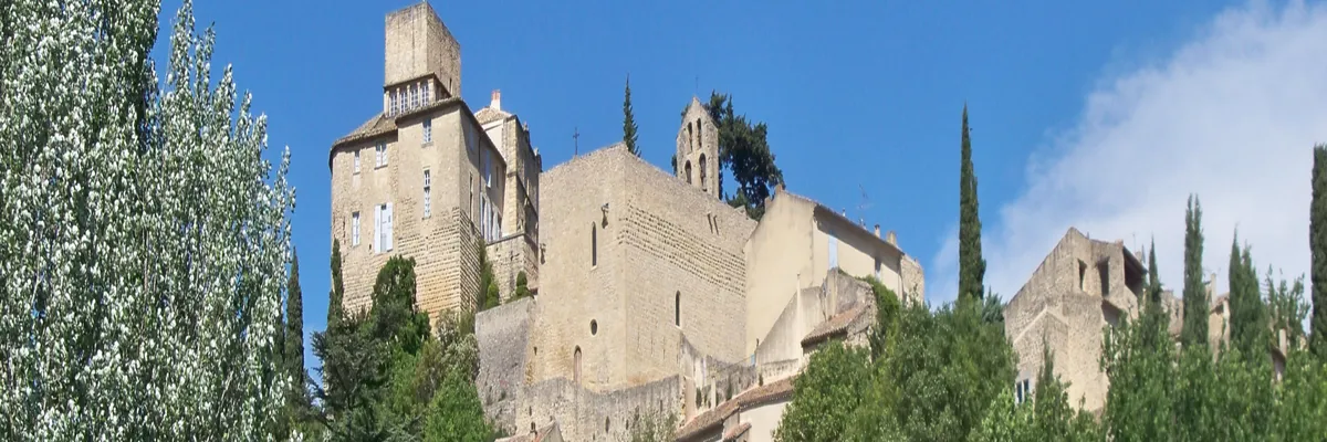 image-installation-monte-escalier-ansouis.webp Image Installation monte-escalier Ansouis