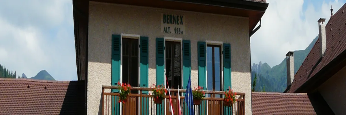 image-installation-monte-escalier-bernex.webp Image Installation monte-escalier Bernex