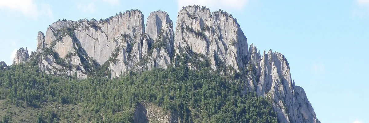 image-installation-monte-escalier-buis-les-baronnies.webp Image Installation monte-escalier Buis-les-Baronnies