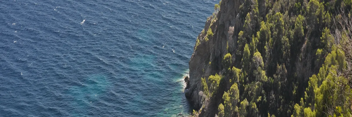 image-installation-monte-escalier-cavalaire-sur-mer.webp Image Installation monte-escalier Cavalaire-sur-Mer
