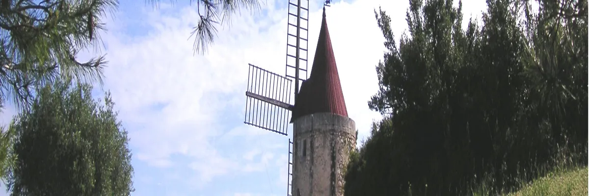 image-installation-monte-escalier-fontvieille.webp Image Installation monte-escalier Fontvieille