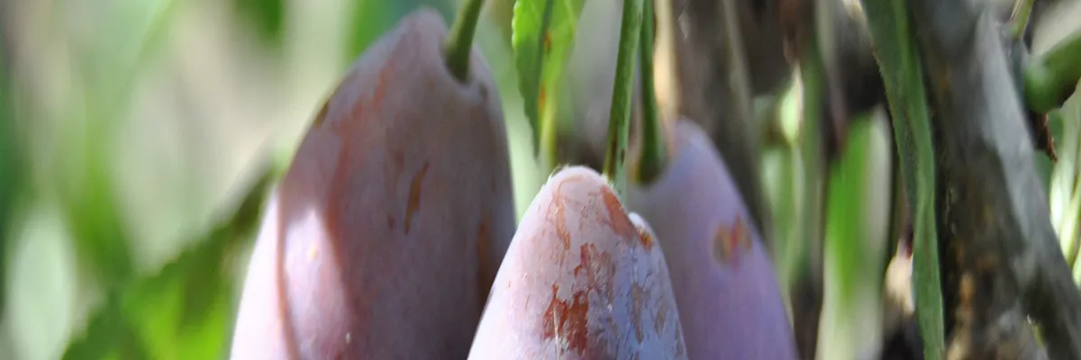 Image Installation monte-escalier Lot-et-Garonne