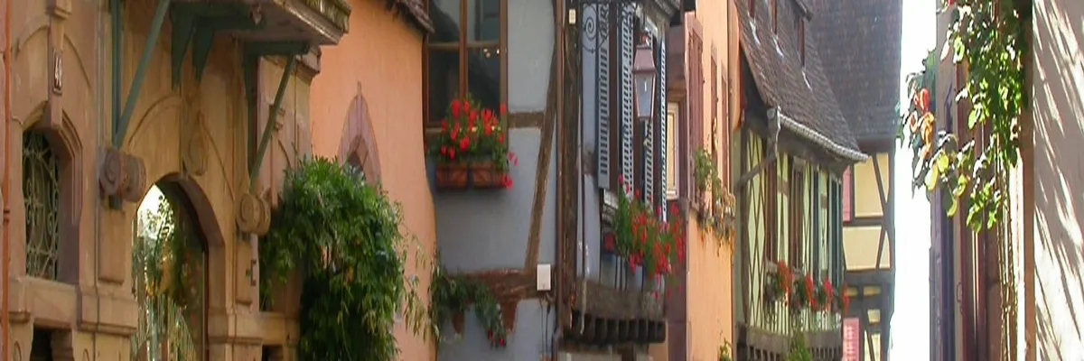 image-installation-monte-escalier-riquewihr.webp Image Installation monte-escalier Riquewihr