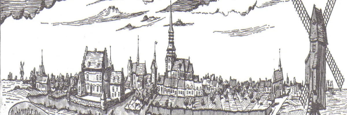 Image Installation monte-escalier Roubaix