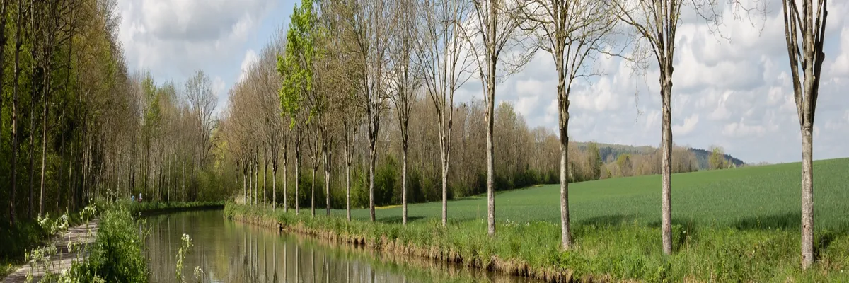 image-installation-monte-escalier-yonne.webp Image Installation monte-escalier Yonne