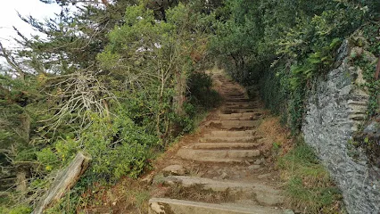 Image de Escalier des Lutins