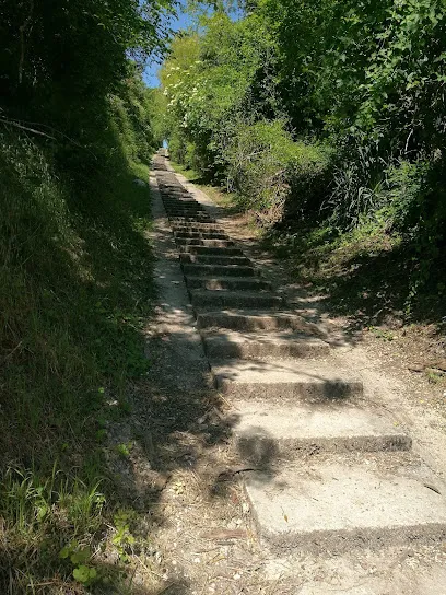 Image de Escaliers de Crécy à Férolles