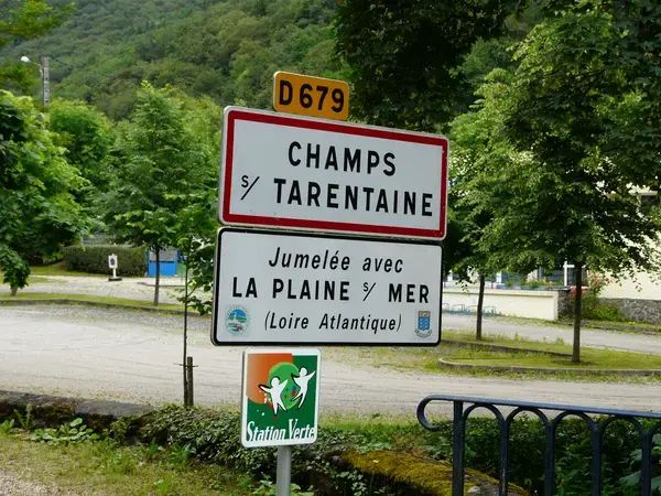 Le Monte-Escalier Installation monte-escalier Champs-sur-Tarentaine-Marchal Le Monte-Escalier Installation monte-escalier Champs-sur-Tarentaine-Marchal